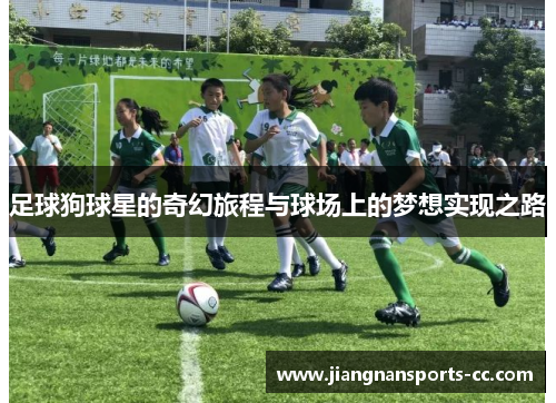 足球狗球星的奇幻旅程与球场上的梦想实现之路