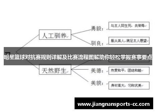 明星篮球对抗赛规则详解及比赛流程图解助你轻松掌握赛事要点